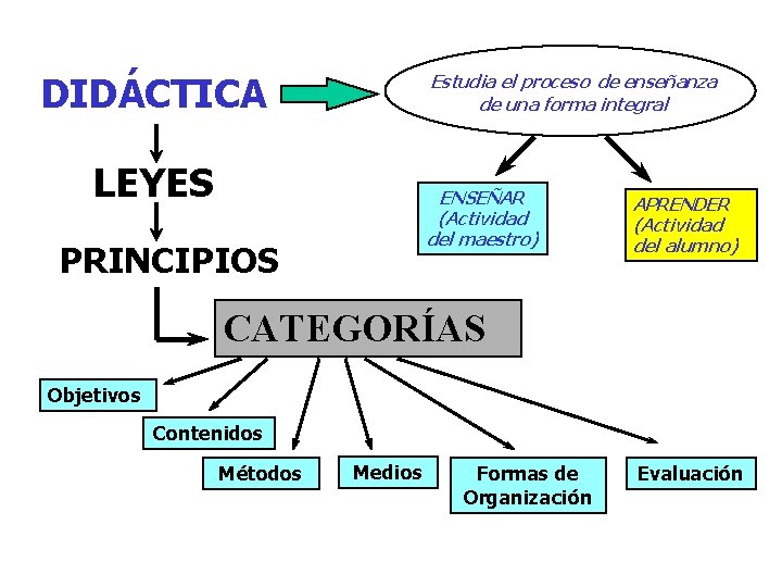 DIDÁCTICA Estudia el proceso de enseñanza de una forma integral LEYES ENSEÑAR (Actividad del