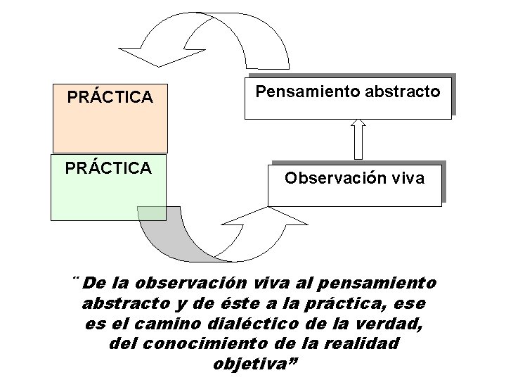 PRÁCTICA Pensamiento abstracto Observación viva ¨ De la observación viva al pensamiento abstracto y