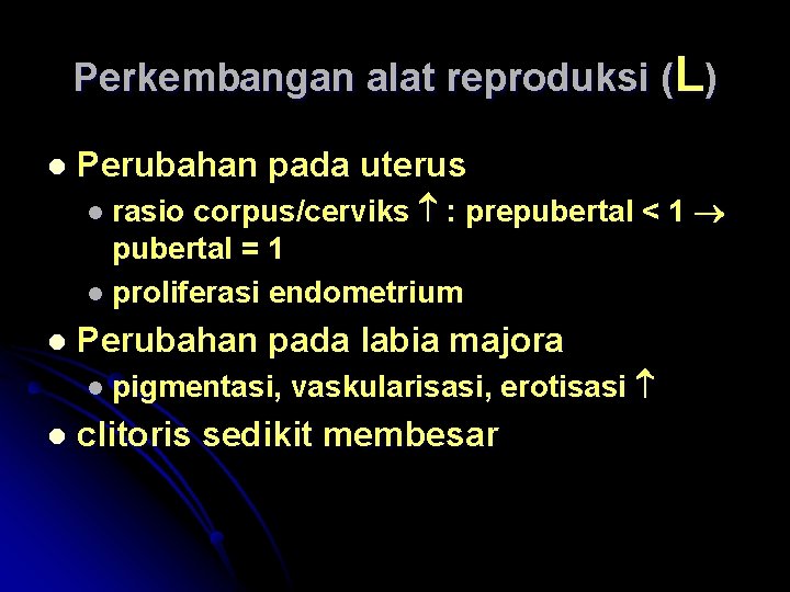 Perkembangan alat reproduksi (L) l Perubahan pada uterus corpus/cerviks : prepubertal < 1 pubertal