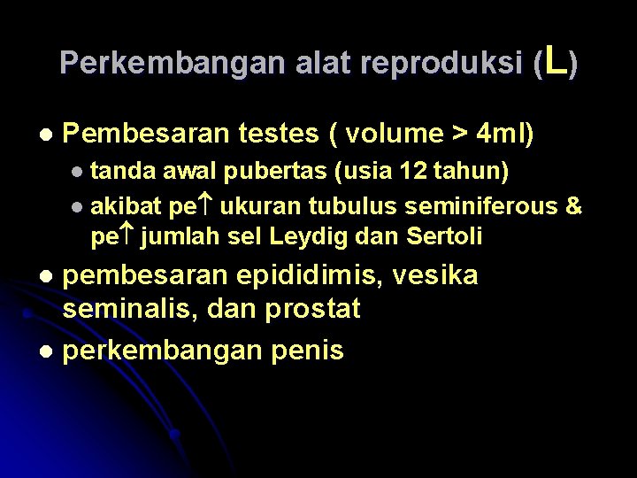 Perkembangan alat reproduksi (L) l Pembesaran testes ( volume > 4 ml) l tanda