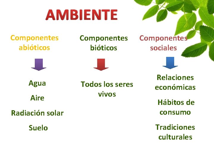 AMBIENTE Componentes abióticos Agua Aire Radiación solar Suelo Componentes bióticos Todos los seres vivos