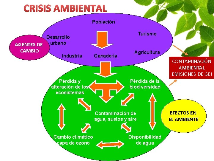 CRISIS AMBIENTAL Población Turismo Desarrollo AGENTES DE urbano CAMBIO Industria Pérdida y alteración de