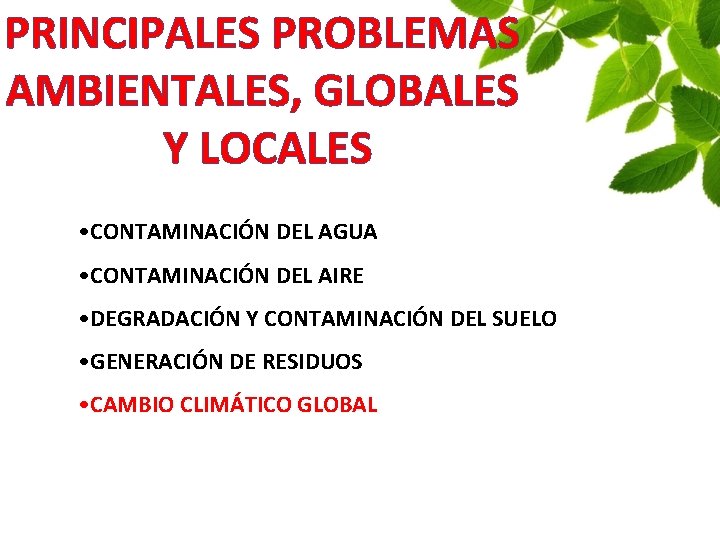 PRINCIPALES PROBLEMAS AMBIENTALES, GLOBALES Y LOCALES • CONTAMINACIÓN DEL AGUA • CONTAMINACIÓN DEL AIRE