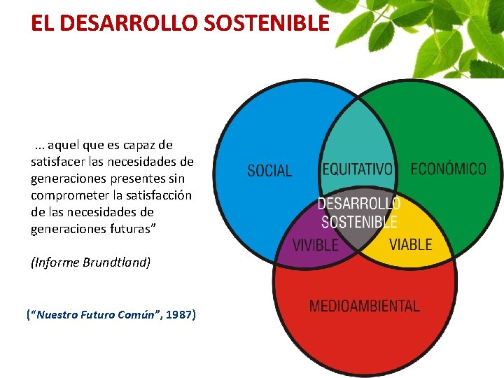 EL DESARROLLO SOSTENIBLE . . . aquel que es capaz de satisfacer las necesidades