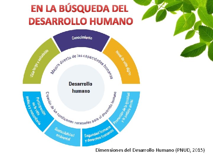 EN LA BÚSQUEDA DEL DESARROLLO HUMANO Dimensiones del Desarrollo Humano (PNUD, 2015) 
