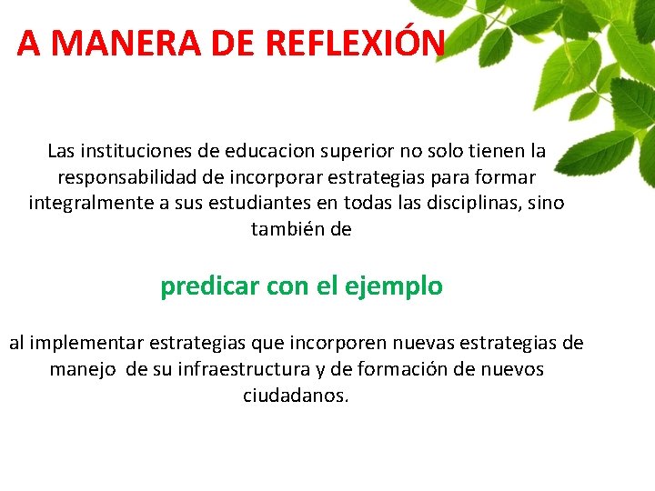 A MANERA DE REFLEXIÓN Las instituciones de educacion superior no solo tienen la responsabilidad