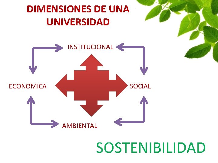 DIMENSIONES DE UNA UNIVERSIDAD INSTITUCIONAL ECONOMICA SOCIAL AMBIENTAL SOSTENIBILIDAD 