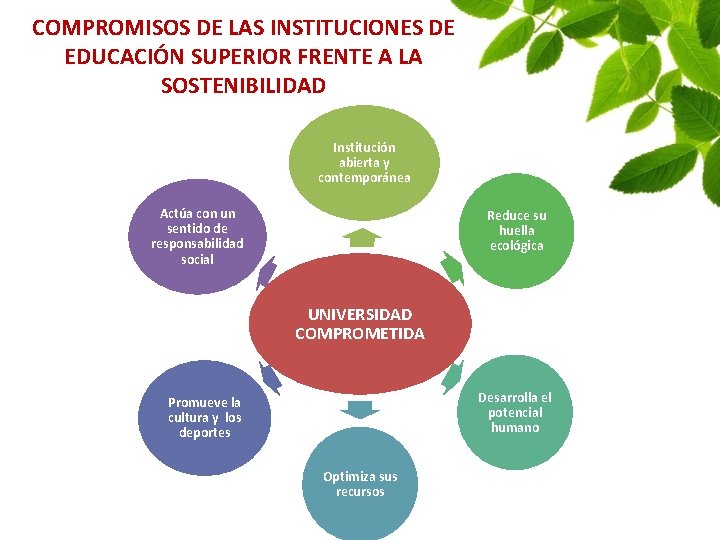 COMPROMISOS DE LAS INSTITUCIONES DE EDUCACIÓN SUPERIOR FRENTE A LA SOSTENIBILIDAD Institución abierta y