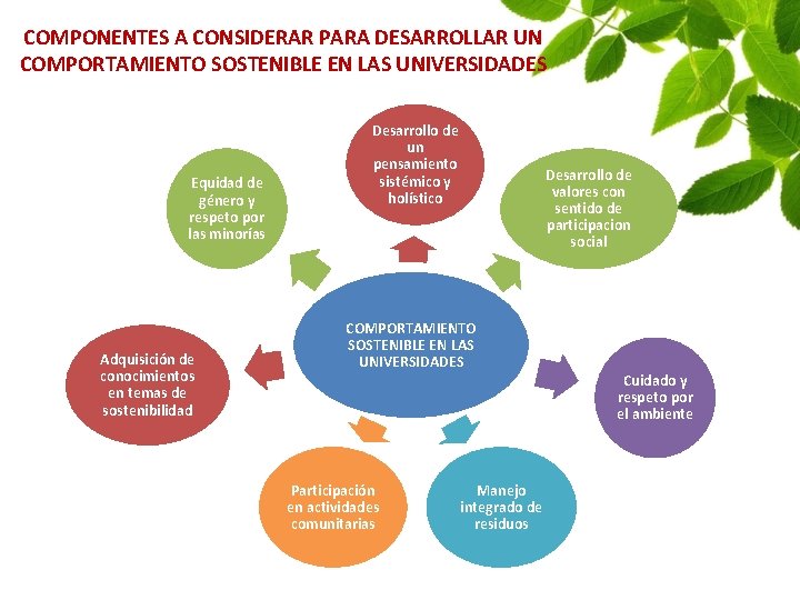 COMPONENTES A CONSIDERAR PARA DESARROLLAR UN COMPORTAMIENTO SOSTENIBLE EN LAS UNIVERSIDADES Equidad de género