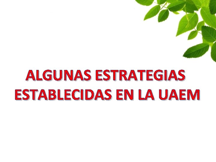 ALGUNAS ESTRATEGIAS ESTABLECIDAS EN LA UAEM 