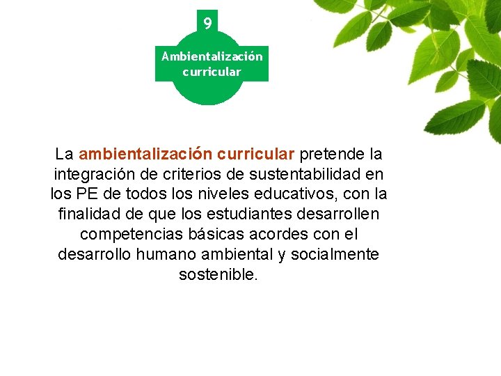 9 Ambientalización curricular La ambientalización curricular pretende la integración de criterios de sustentabilidad en