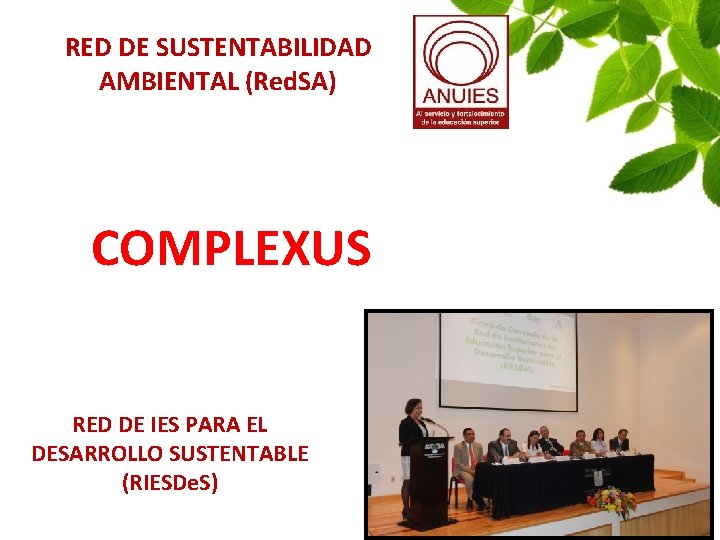 RED DE SUSTENTABILIDAD AMBIENTAL (Red. SA) COMPLEXUS RED DE IES PARA EL DESARROLLO SUSTENTABLE