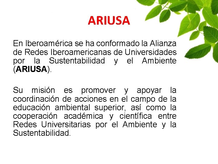 ARIUSA En Iberoamérica se ha conformado la Alianza de Redes Iberoamericanas de Universidades por