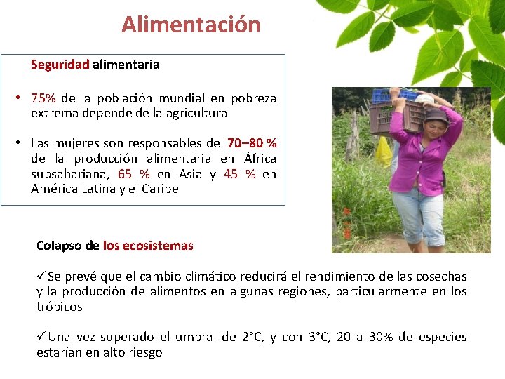 Alimentación Seguridad alimentaria • 75% de la población mundial en pobreza extrema depende de