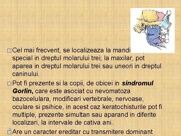 � Cel mai frecvent, se localizeaza la mandibula, in special in dreptul molarului trei;