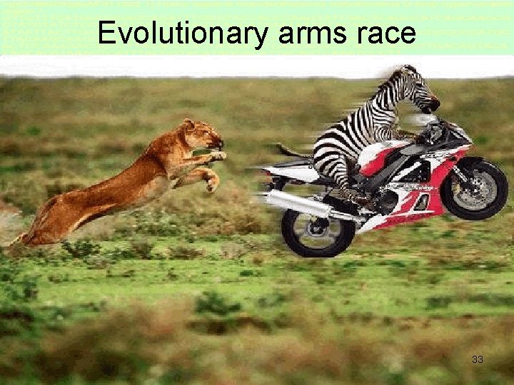 Evolutionary arms race 33 
