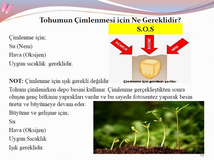 S. O. S 23 