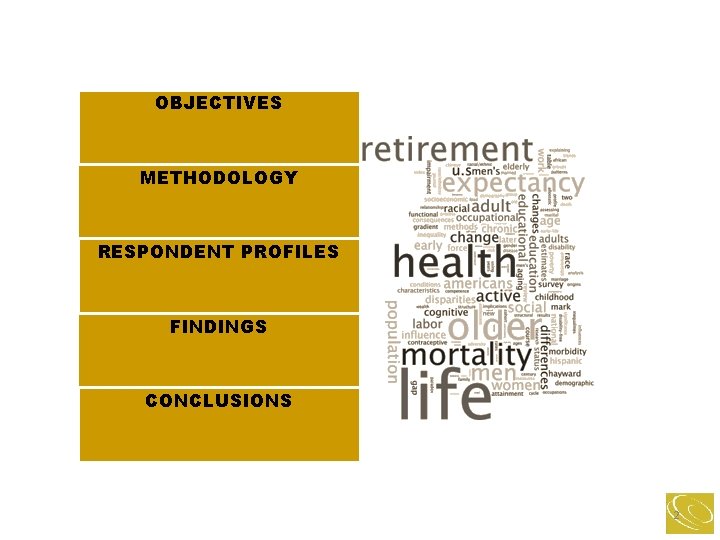 OBJECTIVES METHODOLOGY RESPONDENT PROFILES FINDINGS CONCLUSIONS 2 
