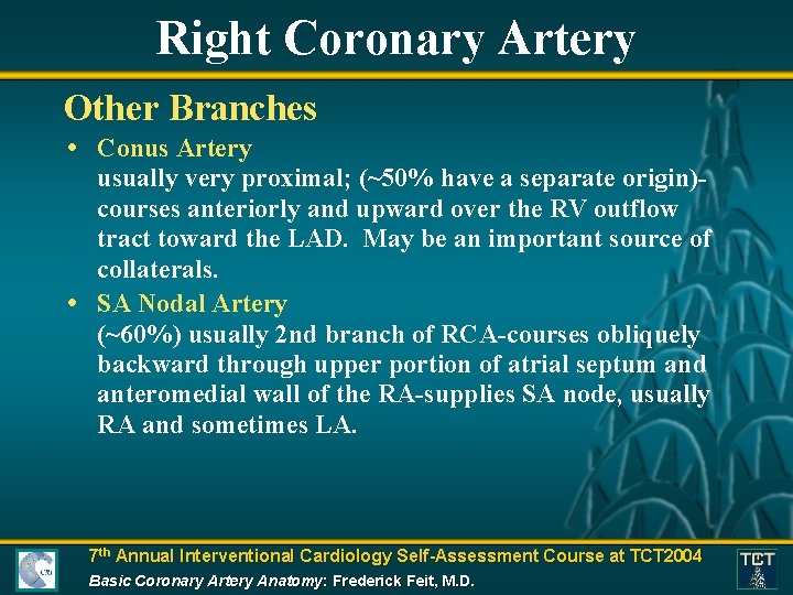 Right Coronary Artery Other Branches • Conus Artery usually very proximal; (~50% have a