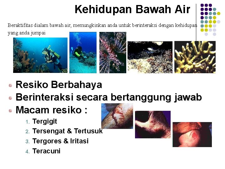 Kehidupan Bawah Air Beraktifitas dialam bawah air, memungkinkan anda untuk berinteraksi dengan kehidupan yang