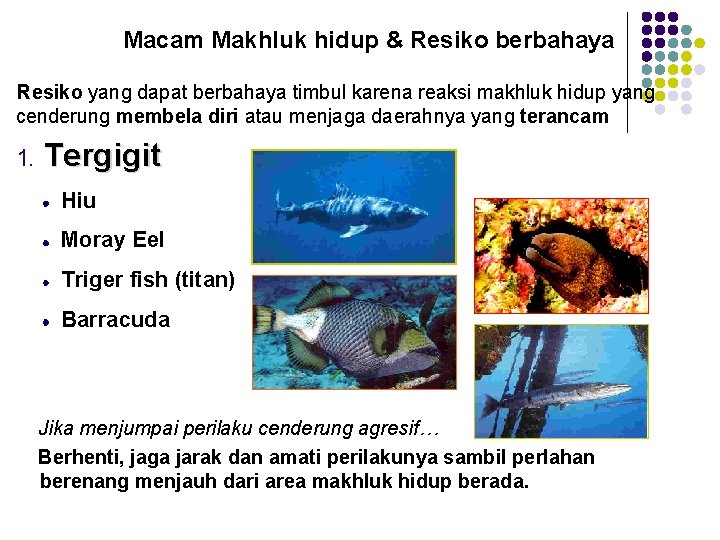 Macam Makhluk hidup & Resiko berbahaya Resiko yang dapat berbahaya timbul karena reaksi makhluk