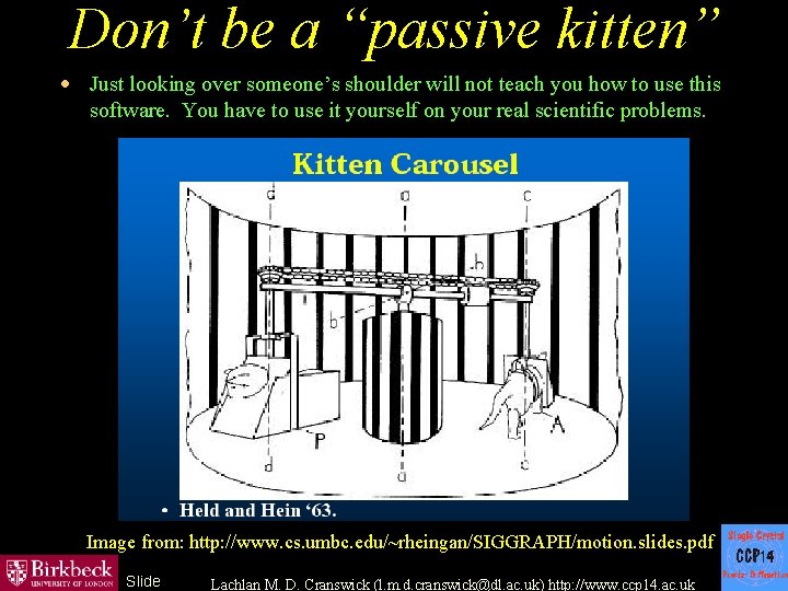 Don’t be a “passive kitten” · Just looking over someone’s shoulder will not teach