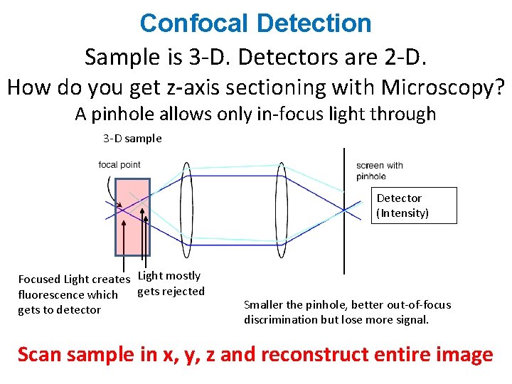 Confocal Detection Sample is 3 -D. Detectors are 2 -D. How do you get