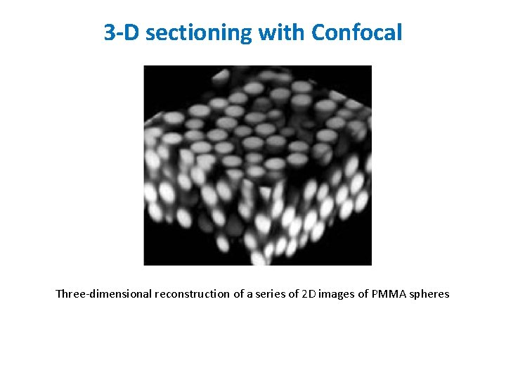 3 -D sectioning with Confocal Three-dimensional reconstruction of a series of 2 D images