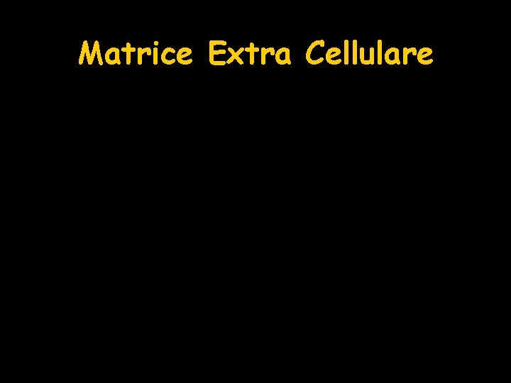 Matrice Extra Cellulare 