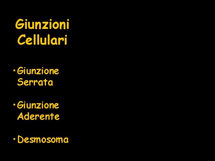 Giunzioni Cellulari • Giunzione Serrata • Giunzione Aderente • Desmosoma 