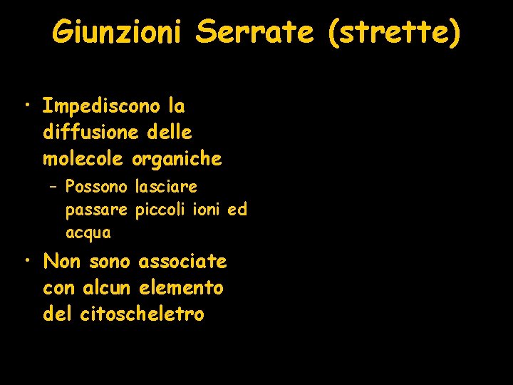 Giunzioni Serrate (strette) • Impediscono la diffusione delle molecole organiche – Possono lasciare passare