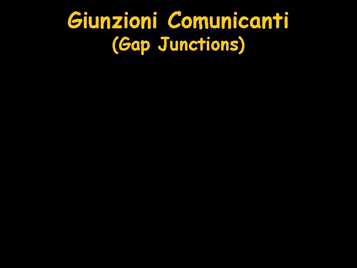 Giunzioni Comunicanti (Gap Junctions) 