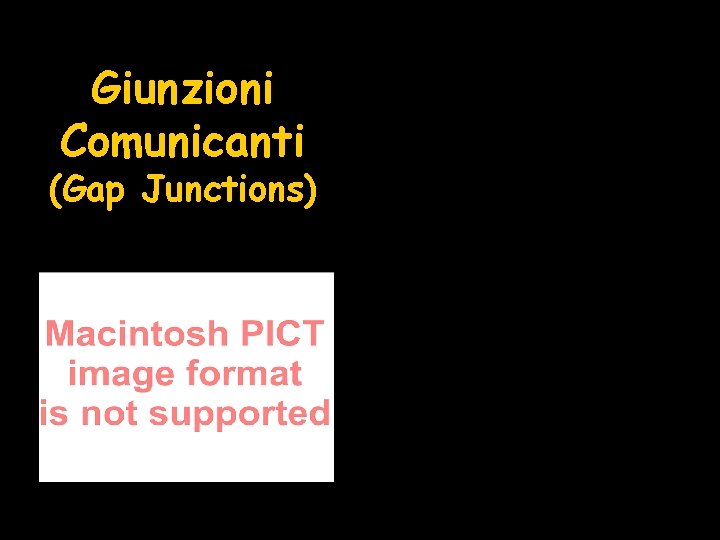 Giunzioni Comunicanti (Gap Junctions) 