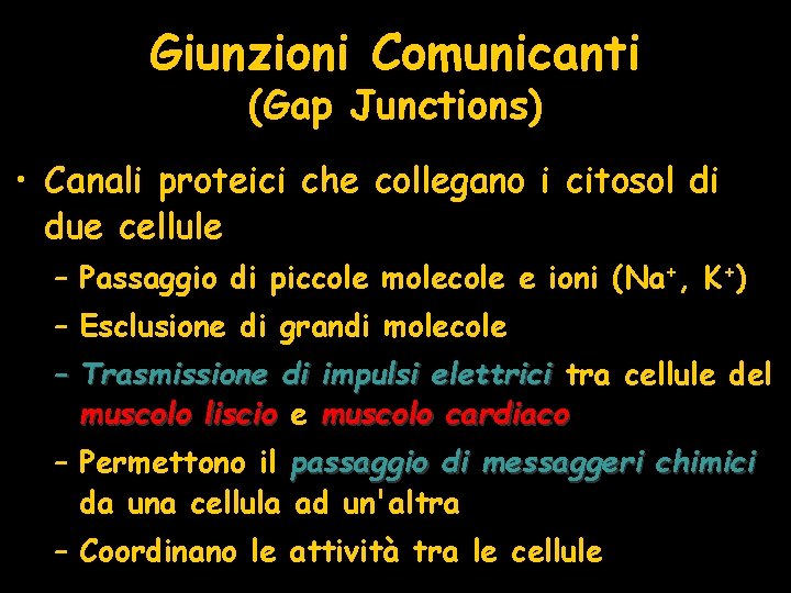 Giunzioni Comunicanti (Gap Junctions) • Canali proteici che collegano i citosol di due cellule