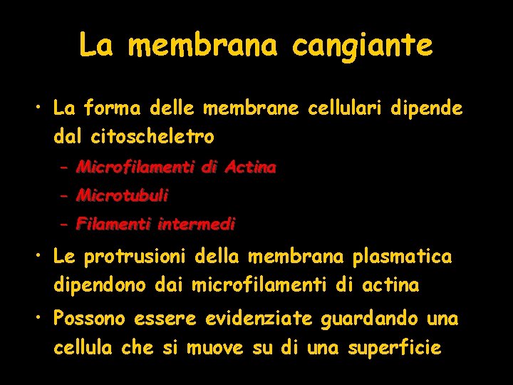 La membrana cangiante • La forma delle membrane cellulari dipende dal citoscheletro – Microfilamenti