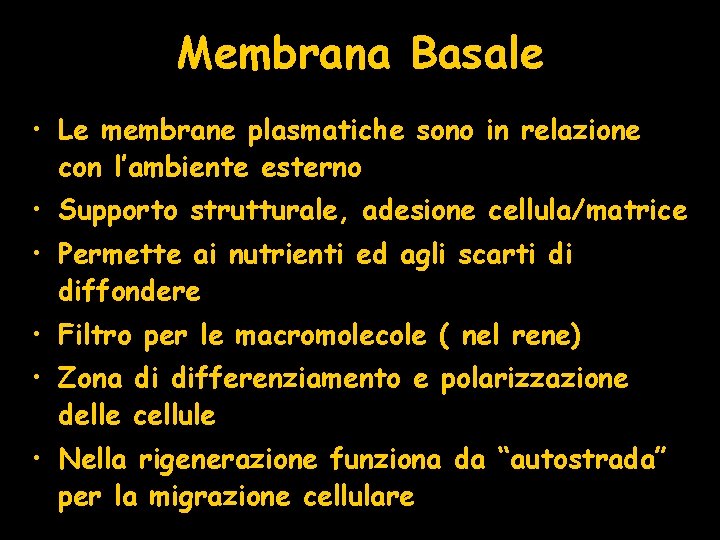 Membrana Basale • Le membrane plasmatiche sono in relazione con l’ambiente esterno • Supporto