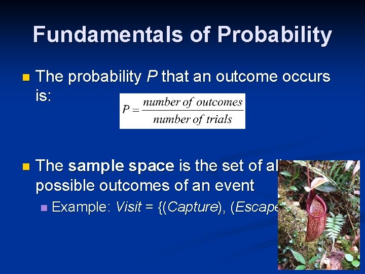 Fundamentals of Probability n The probability P that an outcome occurs is: n The