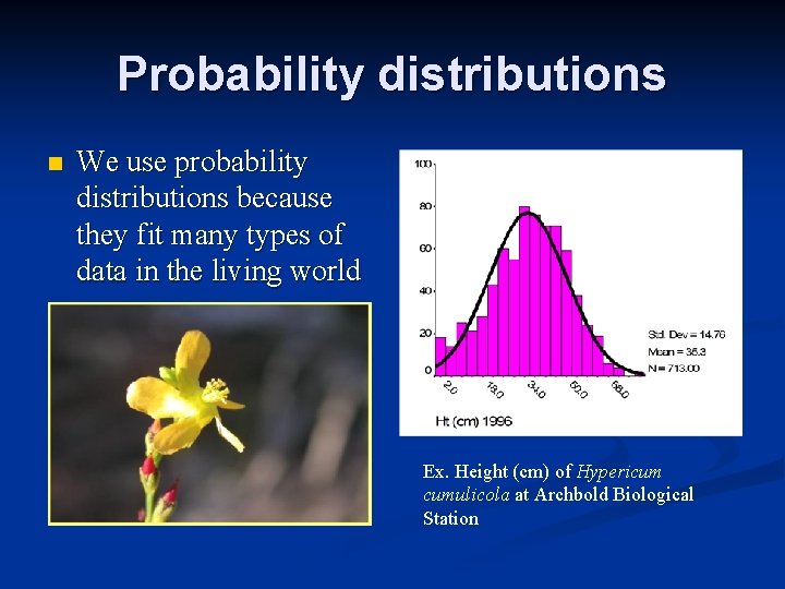 Probability distributions n We use probability distributions because they fit many types of data