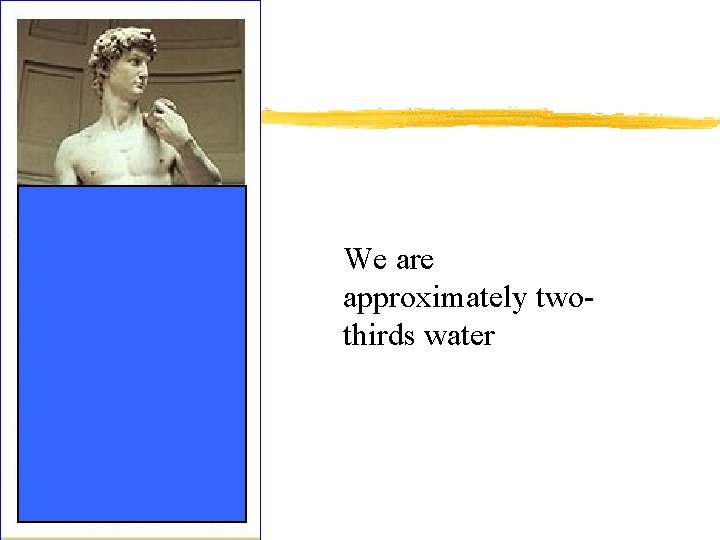 We are approximately twothirds water 