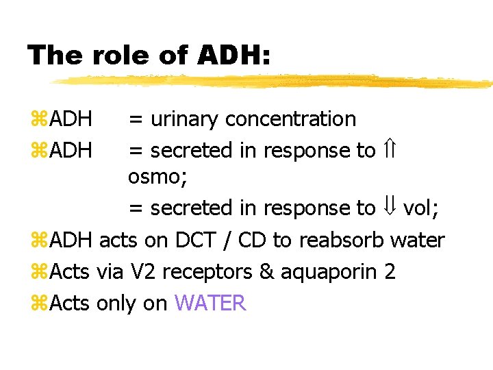 The role of ADH: z. ADH = urinary concentration = secreted in response to