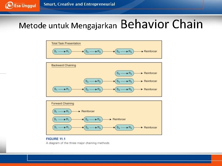 Metode untuk Mengajarkan Behavior Chain 