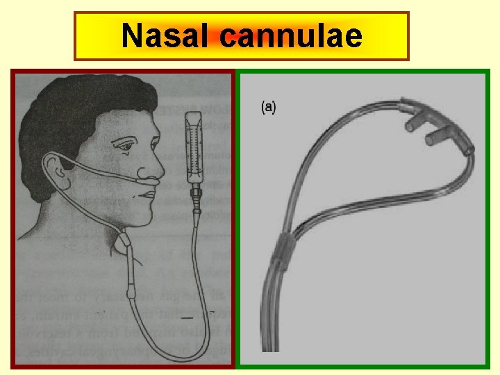 Nasal cannulae 
