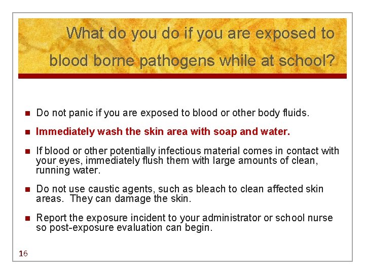 What do you do if you are exposed to blood borne pathogens while at