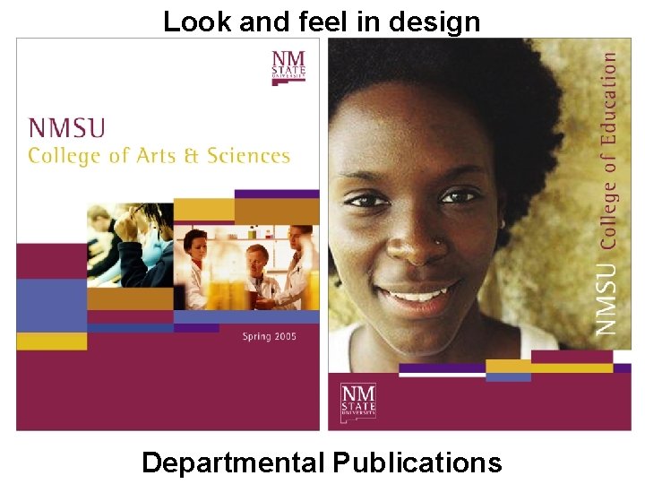 Look and feel in design Departmental Publications 