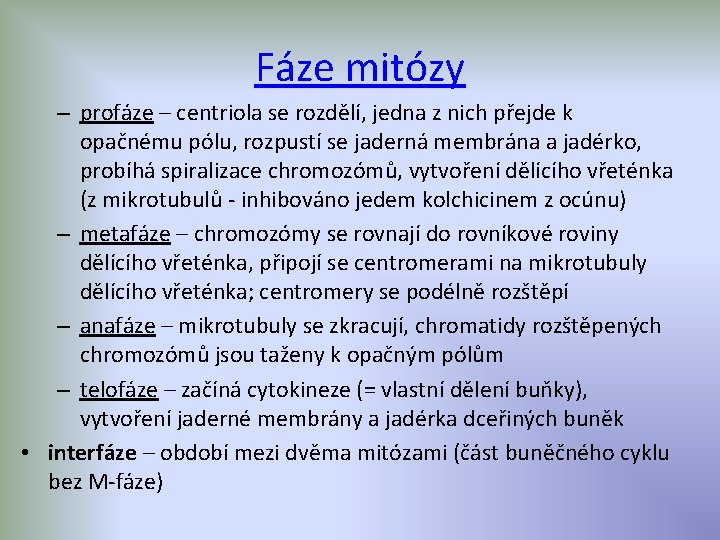 Fáze mitózy – profáze – centriola se rozdělí, jedna z nich přejde k opačnému