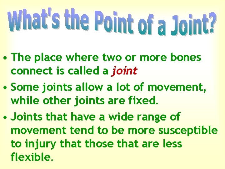  • The place where two or more bones connect is called a joint