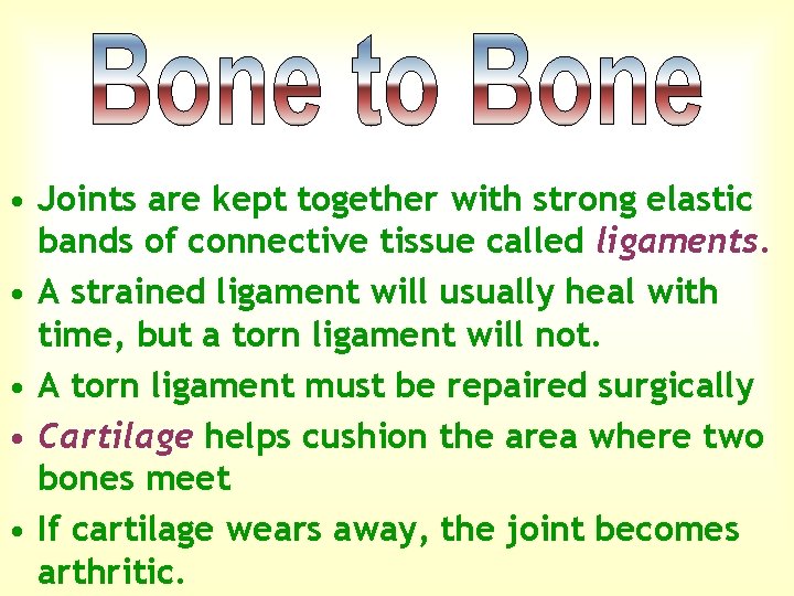  • Joints are kept together with strong elastic bands of connective tissue called