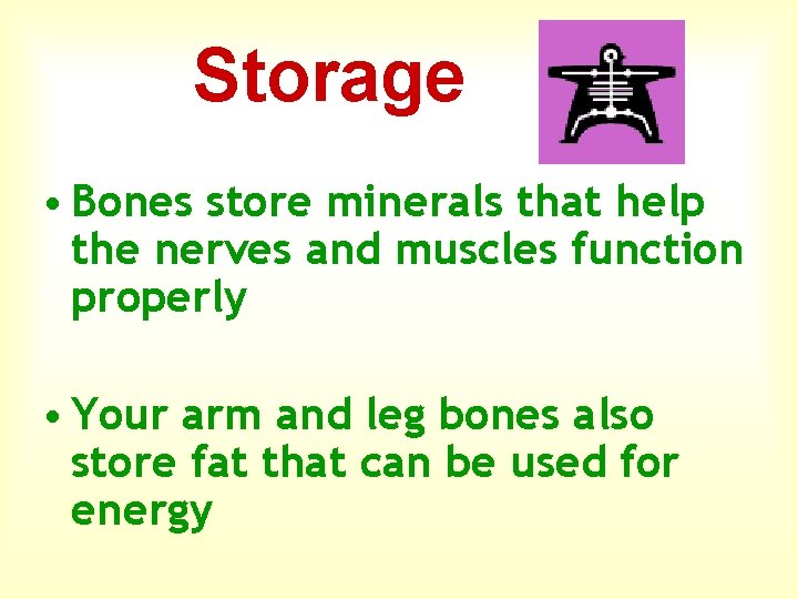 Storage • Bones store minerals that help the nerves and muscles function properly •