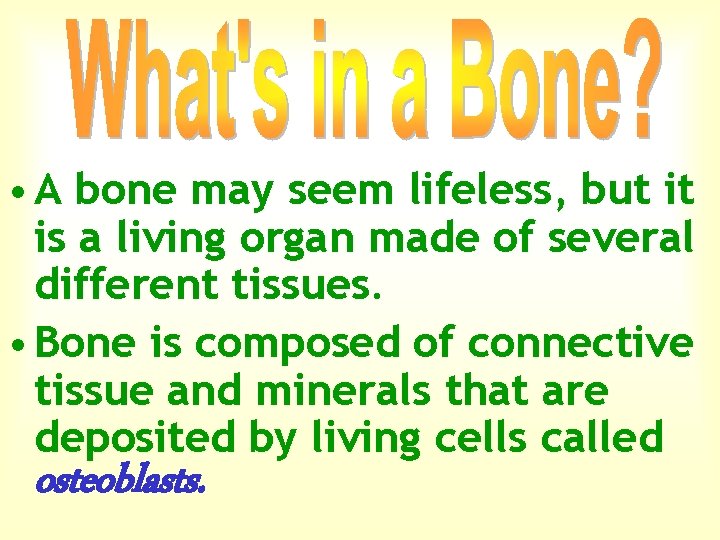  • A bone may seem lifeless, but it is a living organ made