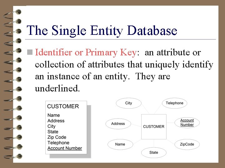 The Single Entity Database n Identifier or Primary Key: an attribute or collection of